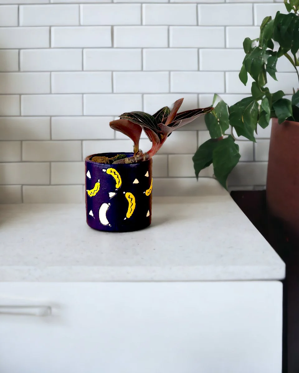 A small, vibrant indoor plant in a colorful pot with moon and banana designs, set on a countertop against a white tiled backsplash. Perfect gift.
