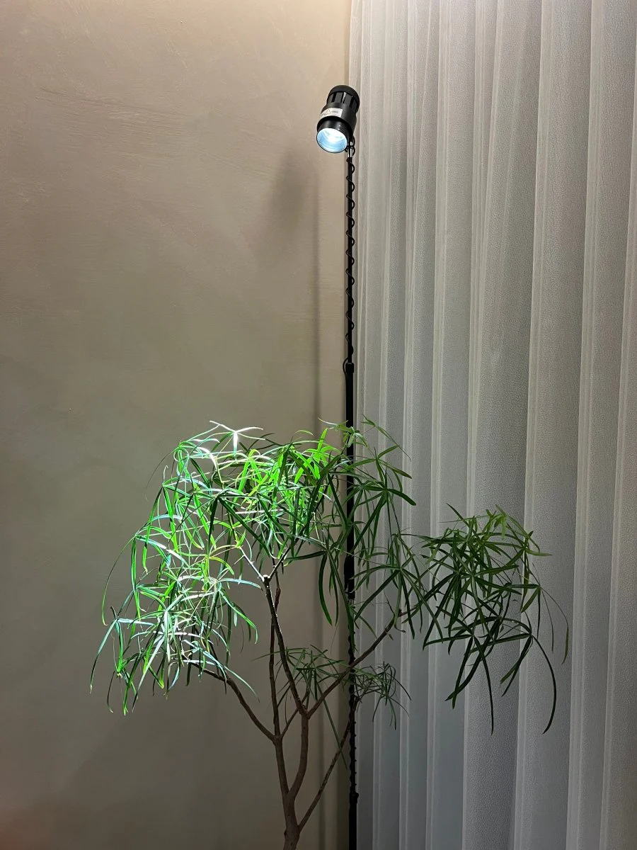 A sleek grow light illuminates an indoor plant against a neutral backdrop, showcasing an ideal setup for home gardening enthusiasts.